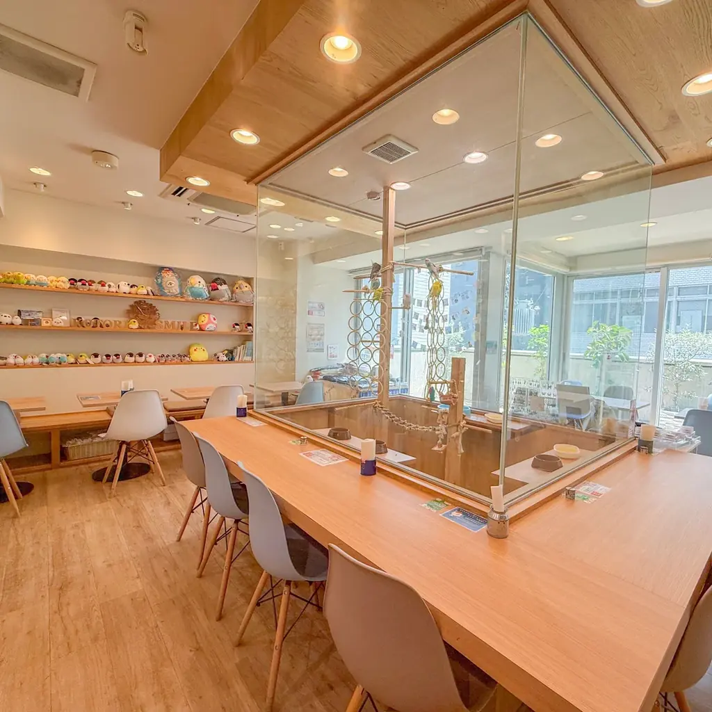 文鳥たちの学校生活が楽しめる『ふぃんち学園』開校！懐かしくてかわいい給食メニューが登場♪ 画像 11