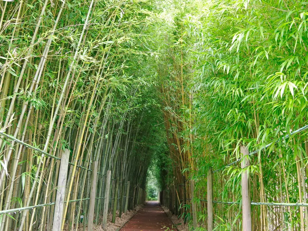 募集人数を計450名に拡大！サンリオキャラクターの世界観と自然豊かな園内で撮影を楽しめる コスプレイベント「#こすぷれハーモニー2026」2026年12月5日（土）開催決定 画像 5