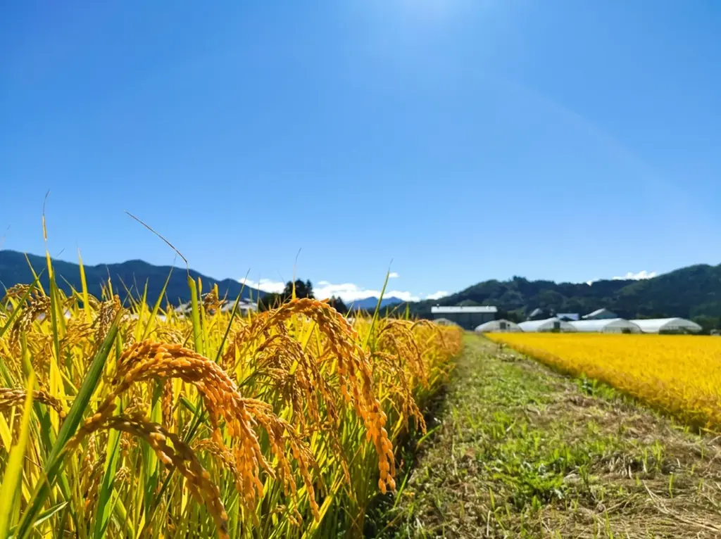永井酒造がForbes JAPAN「Destinations of the Year 2026」TOP30に選出。「SHINKA」3周年を記念し、「川場村の自然と食、永井酒造を訪ねる旅 」をプレゼント 画像 9