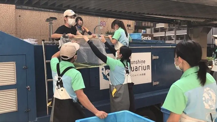 タチウオが立っているように泳ぐ姿にちなんだ、新しい記念日が誕生！！サンシャイン水族館・11月11日を「タチウオの日」に制定 画像 6