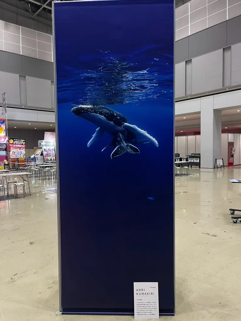 「100年後の未来に何を残す？」MORE企画が東京ビッグサイト『ASIA DIVE EXPO JAPAN』に出展！サステラ・国府田利光・つなぐ会と共同出展。ごみと100年後の未来を考える3日間 画像 11