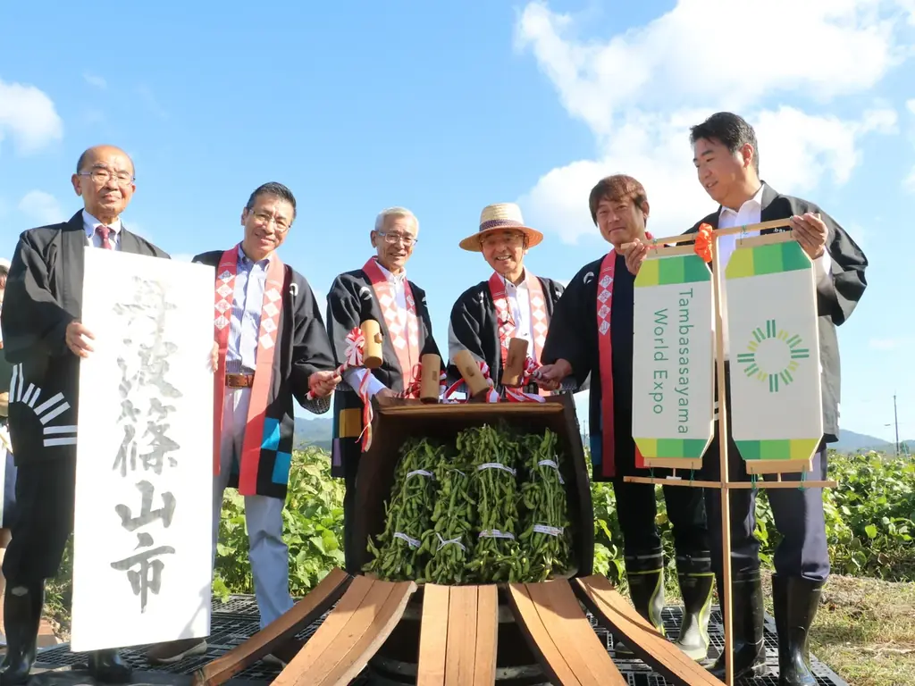 食べられる期間は約3週間！幻の枝豆「丹波篠山黒枝豆」2026年の販売解禁日は10月８日に決定！ 画像 2