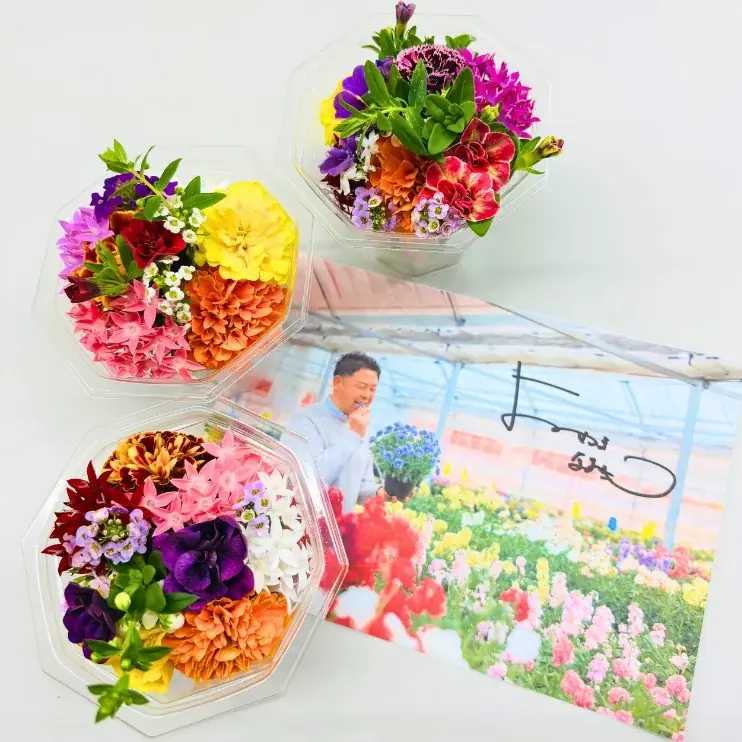 食べたいお花に投票しよう♪ YouTube 46,000、Instagram 18,000フォロワーを誇るカリスマ園芸家・横山直樹が育てたエディブルフラワープレゼント！【横山園芸公式HP開設記念】 画像 4