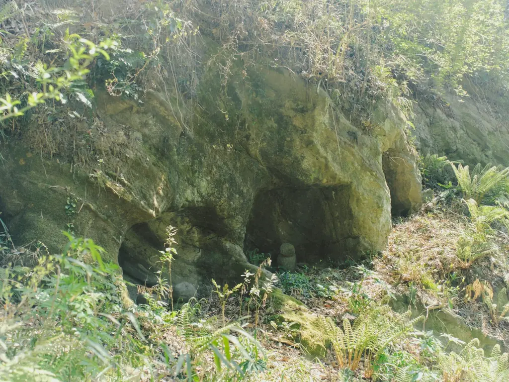【８９年の時を経て、いま、目を醒ます谷戸】横須賀市の新公園プロジェクト『大矢部みどりの公園 MEZAME VALLEY』の公式ブランドサイト公開！ 画像 6