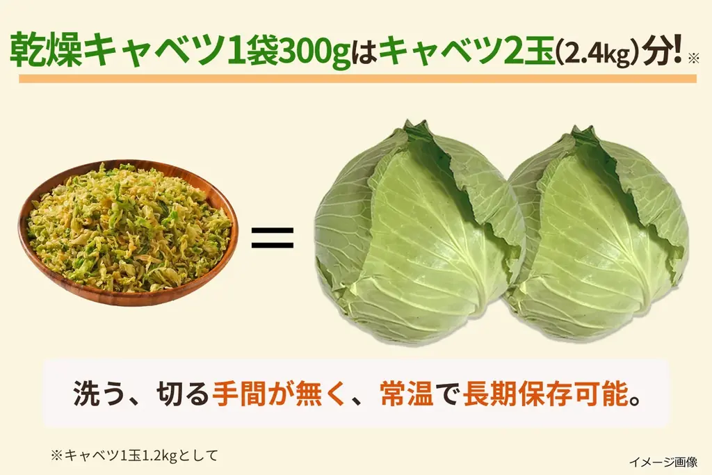 【FOOD展2026】注目出展企業の詳細を一挙紹介！人手不足、衛生・安全、DX、冷凍・冷蔵・物流課題を解決するソリューションが11月東京ビッグサイトに集結！ 画像 4