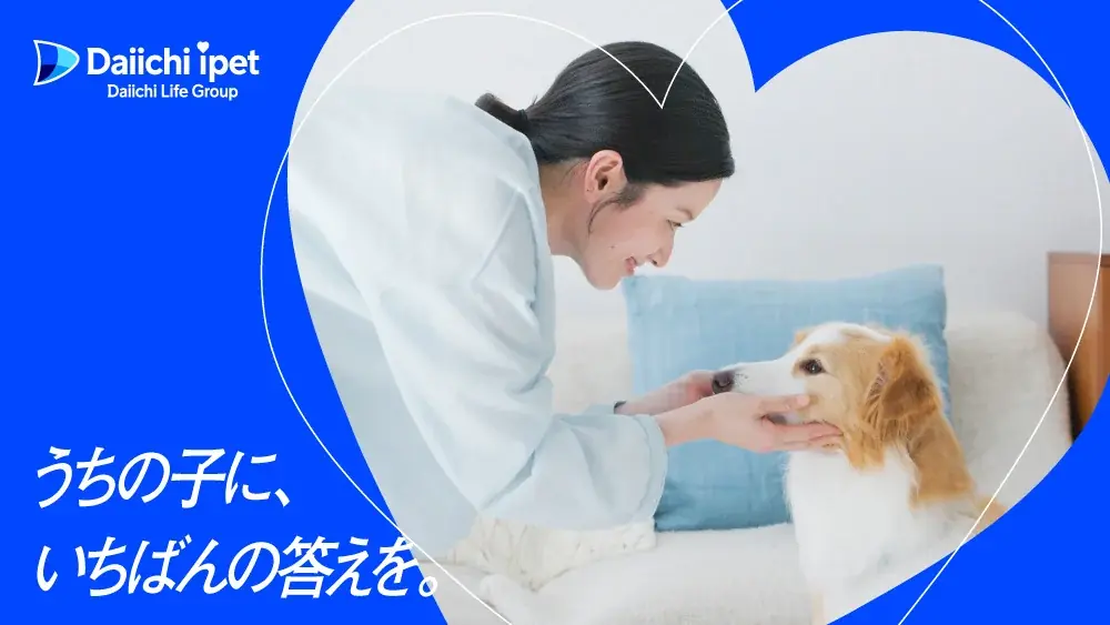 【第一アイペット】「うちの子に、いちばんの答えを。」新ブランドプロモーションを10月1日より開始 画像 2