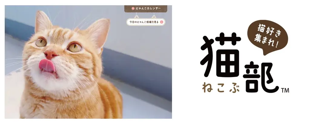 干支一周！ 12年目となるフェリシモ「猫部」と「にゃん賀状」のコラボ年賀状が10月1日より販売スタート！ 画像 7