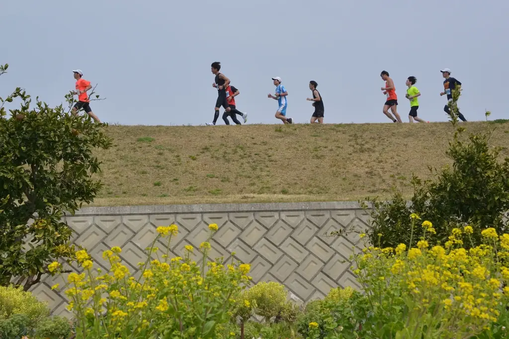 【愛知県豊橋市】市電と並走できる！「鈴木亜由子杯 穂の国・豊橋ハーフマラソン2027」一般エントリーが10月6日スタート 画像 7
