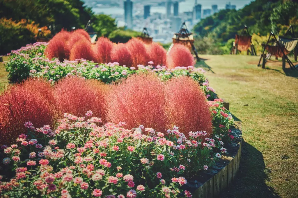 神戸の山上で、手ぶらで「おしゃピク」。秋の花々に囲まれるガーデンピクニックが9月26日から開始。おしゃれアイテムをすべてレンタル。 画像 14
