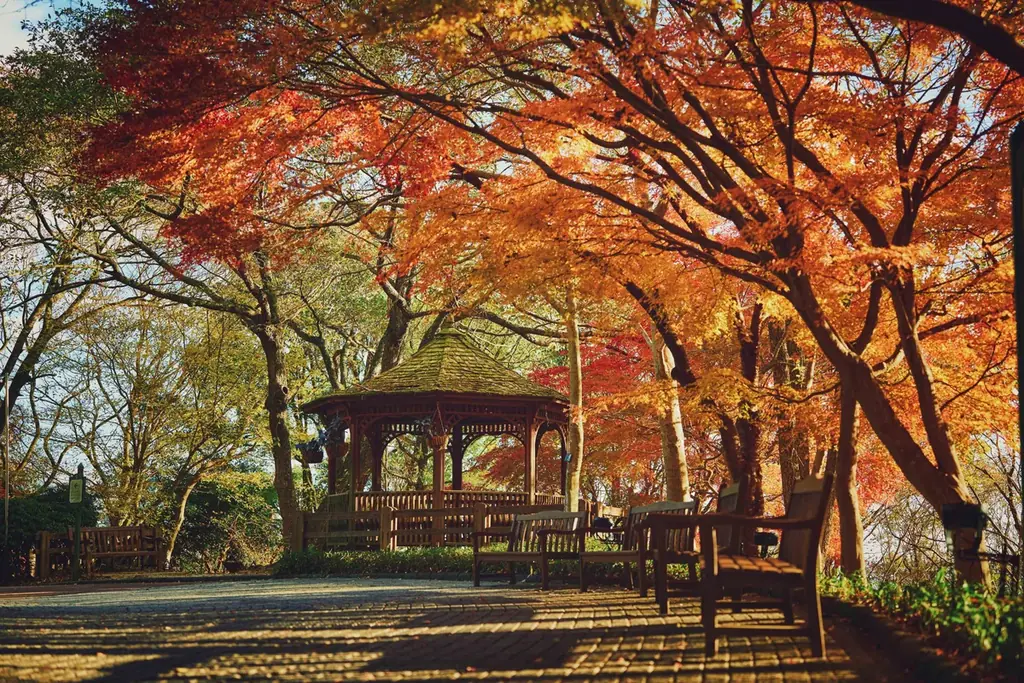神戸の山上で、手ぶらで「おしゃピク」。秋の花々に囲まれるガーデンピクニックが9月26日から開始。おしゃれアイテムをすべてレンタル。 画像 15