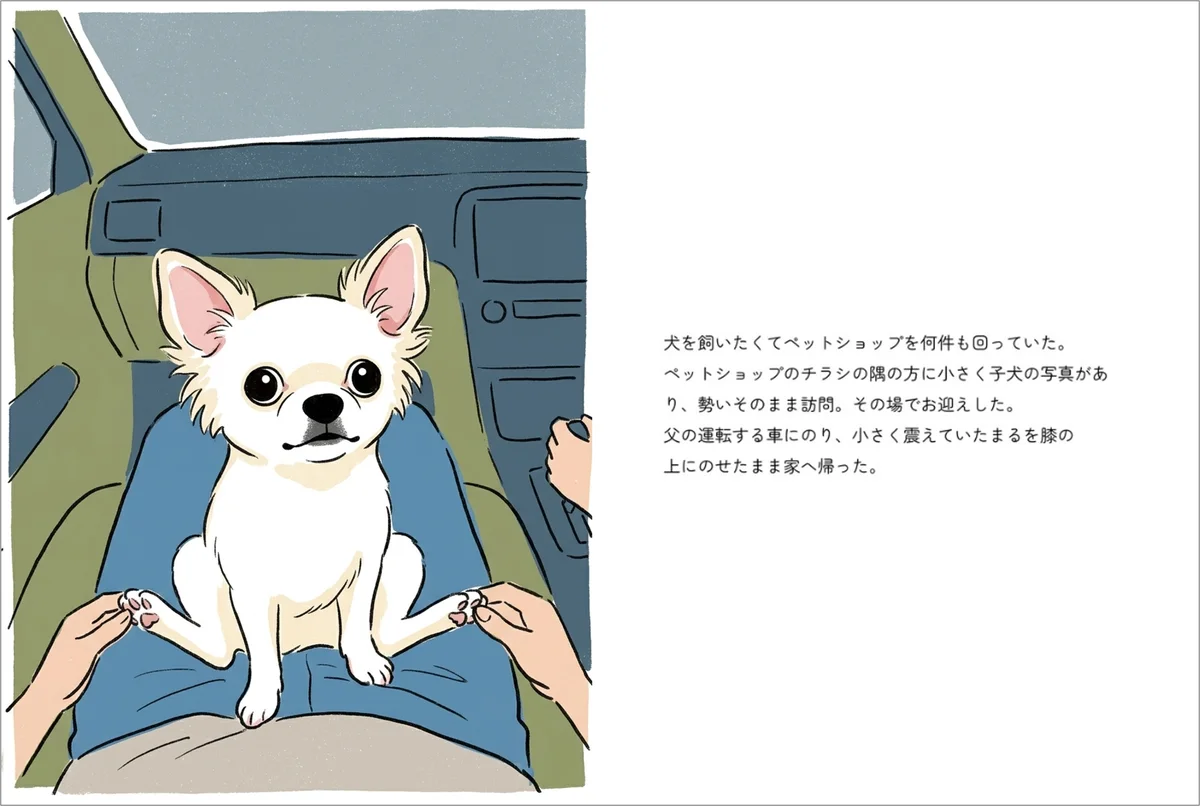 「うちの子が、絵本の主人公に」ペットの写真と思い出を送るだけで、世界に一つのオリジナル絵本が完成！『ぺっとっと』、10月5日販売開始 画像 10