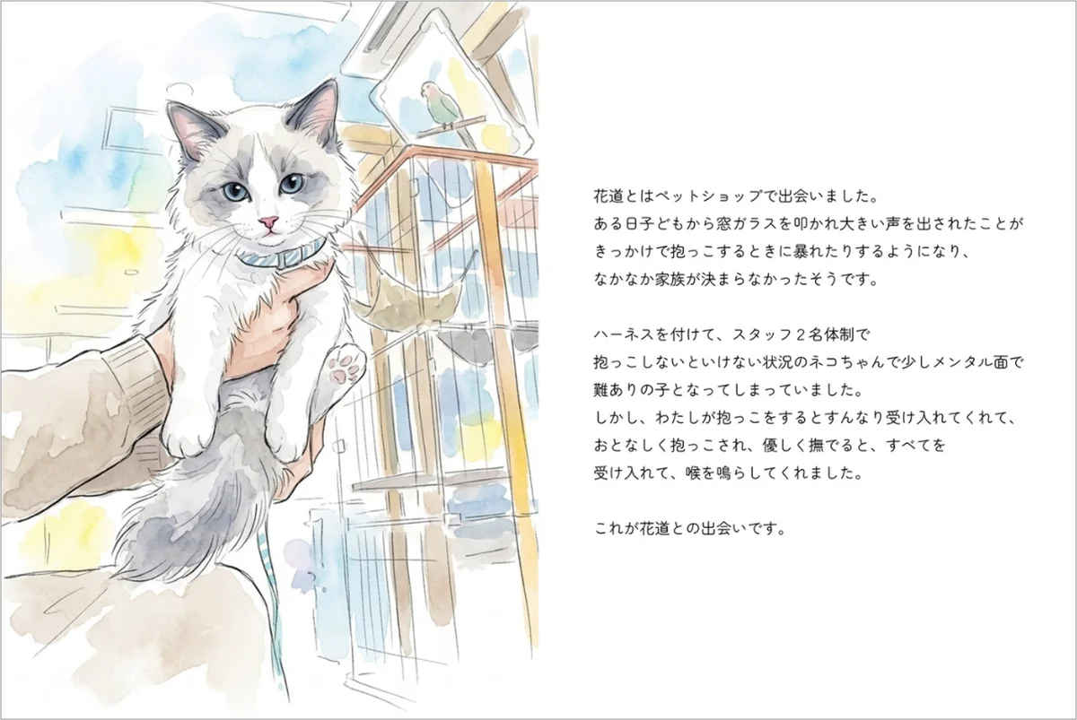 「うちの子が、絵本の主人公に」ペットの写真と思い出を送るだけで、世界に一つのオリジナル絵本が完成！『ぺっとっと』、10月5日販売開始 画像 6