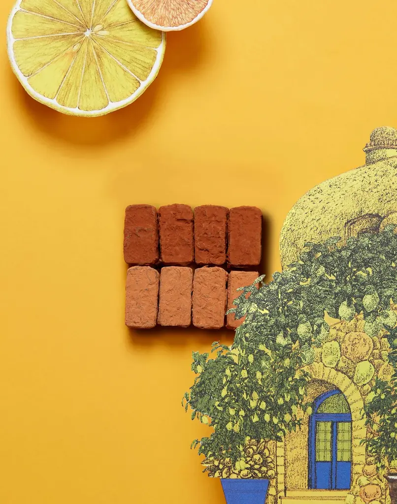 【アラン・デュカス・ショコラ・パリ／アラン・デュカス・ビスキュイ・パリ】ノエルコレクション 2026「LES JARDINS DE PROVENCE（プロヴァンスの庭）」を発表 画像 10