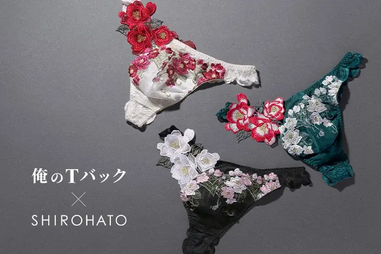 白鳩×「俺のTバック」メンズショーツ発売、レースの選択肢を拡大
