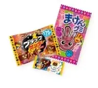 初開催のバックヤードツアーや「ポケモン天文台」も！のんほいパーク「オータムフェスティバル2026」を10月3日（土）より開催 画像 14