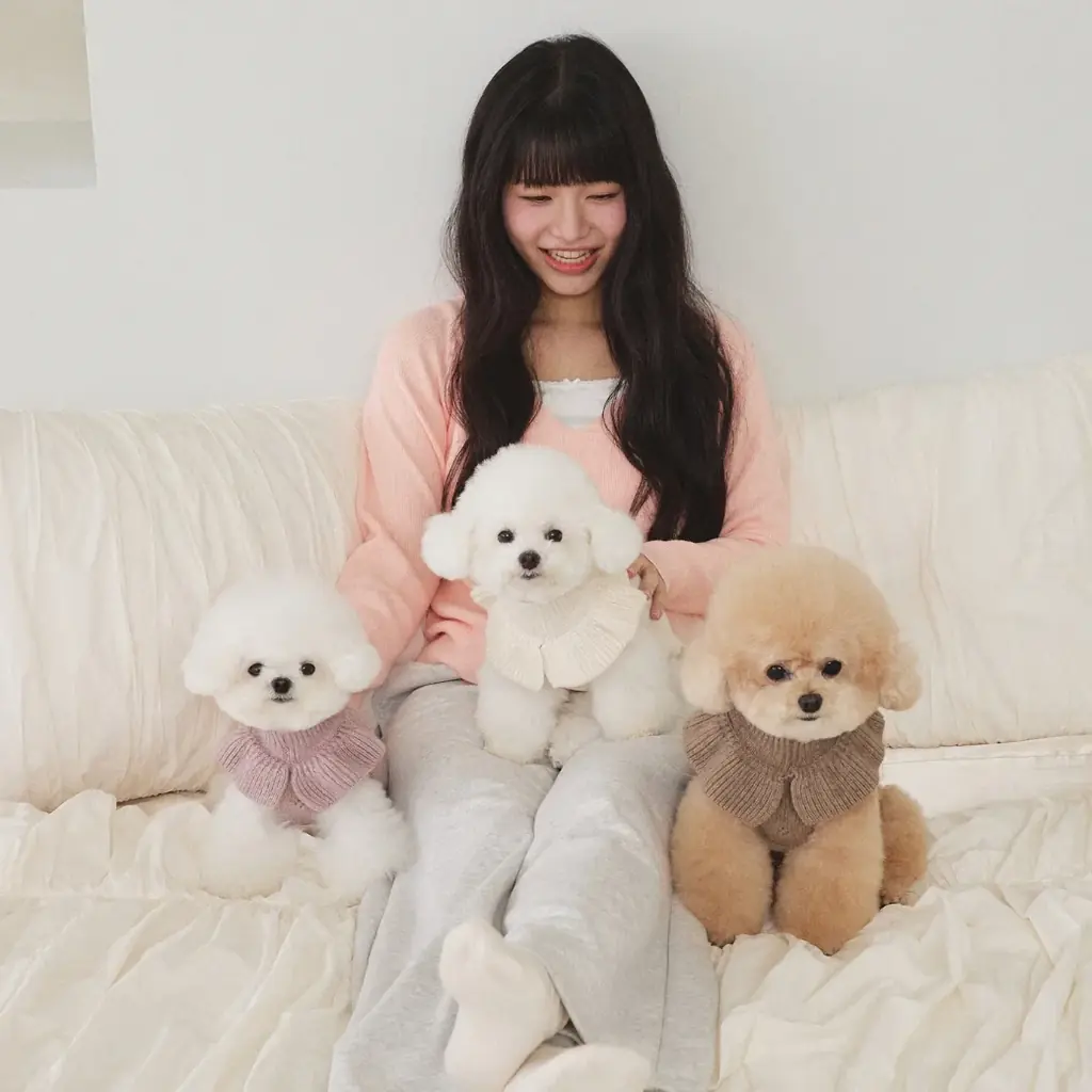 ドッグライフスタイルショップ「MINIME」が期間限定で伊勢丹新宿店に登場。韓国発のドッグブランドが揃うPOPUP SHOPを開催 画像 6