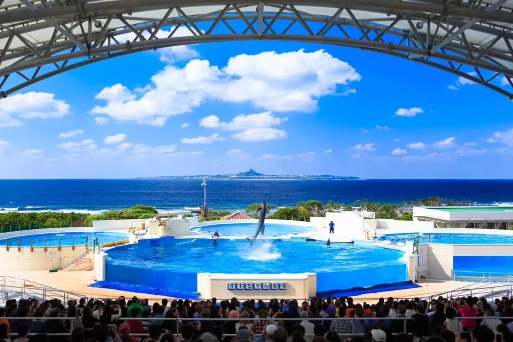 【沖縄美ら海水族館】オキちゃん劇場が地域と観光をつなぐ“憩いの場”に！ 画像 3