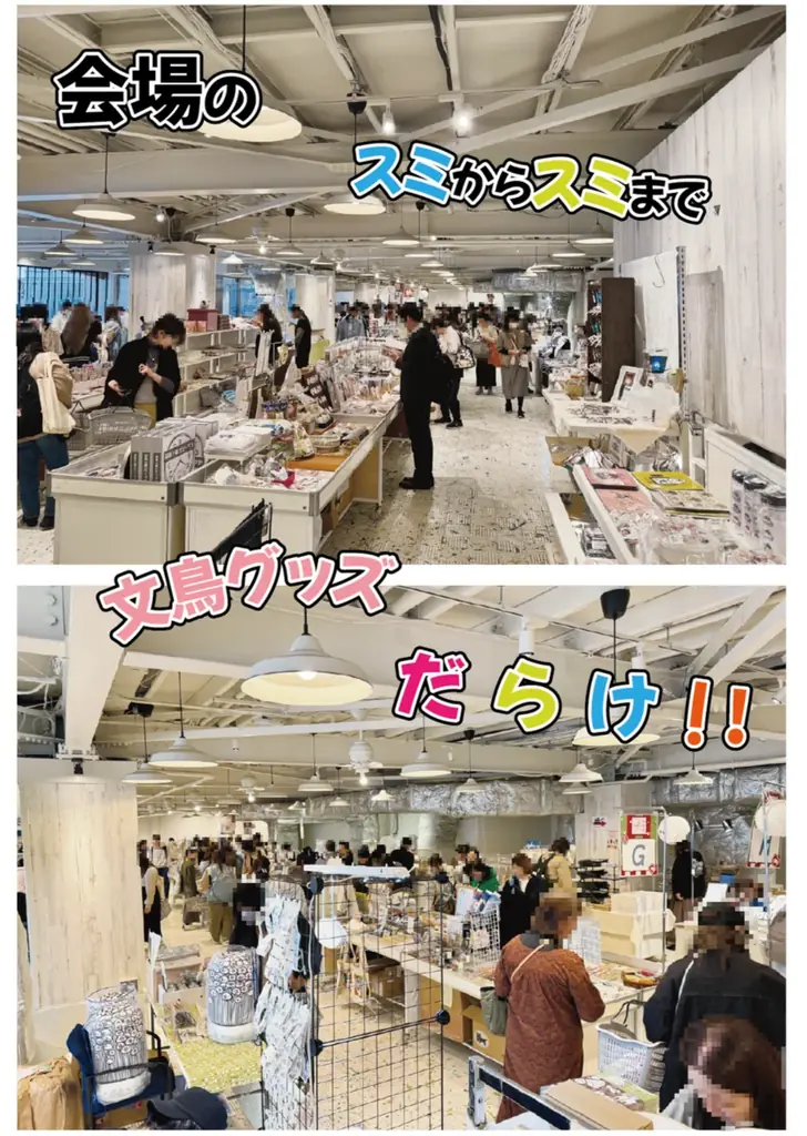 【ハンズ横浜店】『文鳥まつり18 in YOKOHAMA』開催 画像 3