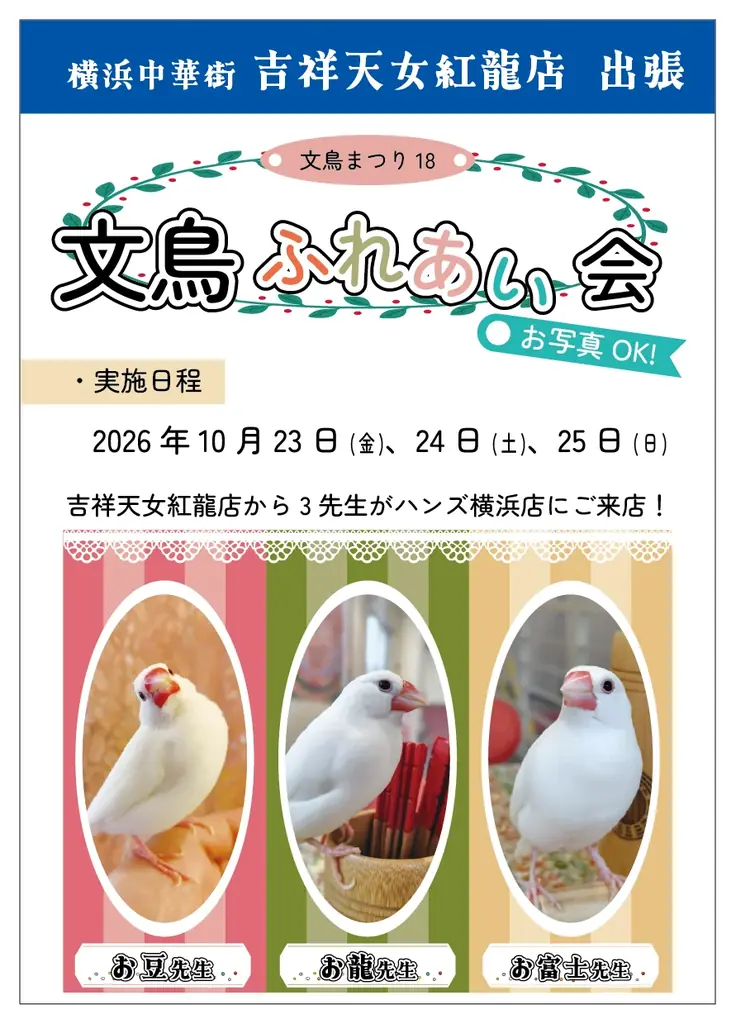 【ハンズ横浜店】『文鳥まつり18 in YOKOHAMA』開催 画像 6