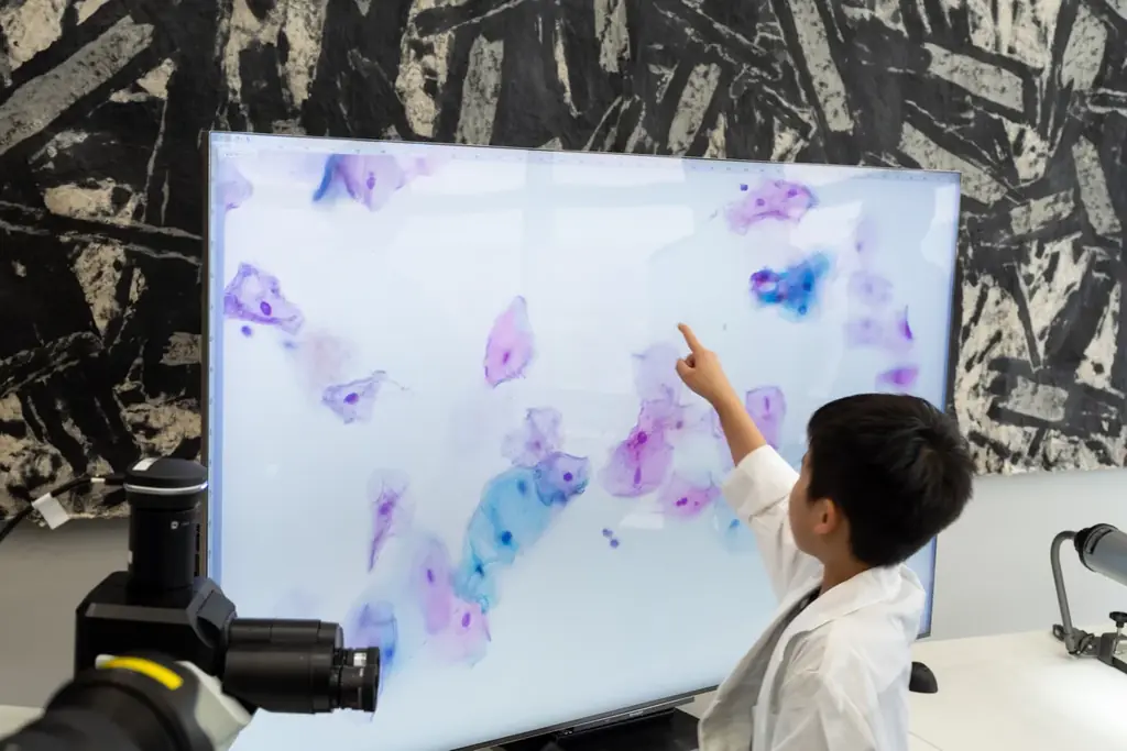【細胞アート展】細胞を“アート”で捉え、細胞診を楽しく学べる細胞診体験イベント 11/23（月・祝）幕張メッセで開催 画像 9