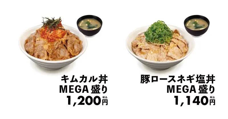 【松屋】肉好きに贈る“肉2倍”超ド級メニューが復活　「MEGA盛りフェア」開催 画像 2