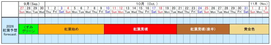 ここだけでしか見られない約4万本のコキア紅葉見頃を迎えます（国営ひたち海浜公園） 画像 6