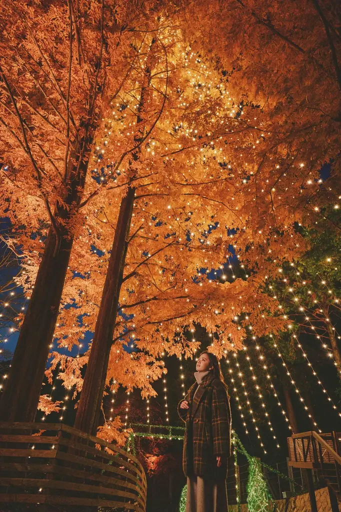 「神戸クリスマスマーケット2026」11/7（土）から開催！神戸の山上で、昼も夜も“楽しい”“美しい”古城と森をめぐるクリスマス。ディスプレイ・ライトアップ・グルメがさらに充実！今年は12/28まで。 画像 14