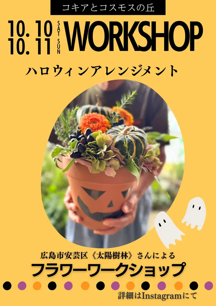 【広島／世羅】秋色のコキア・コスモスが見頃です　コキアとコスモスの丘《Flower village 花夢の里》 画像 9