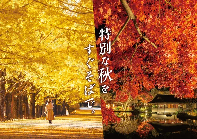 黄葉・紅葉まつり＆秋の夜散歩2026開催｜国営昭和記念公園 画像 1