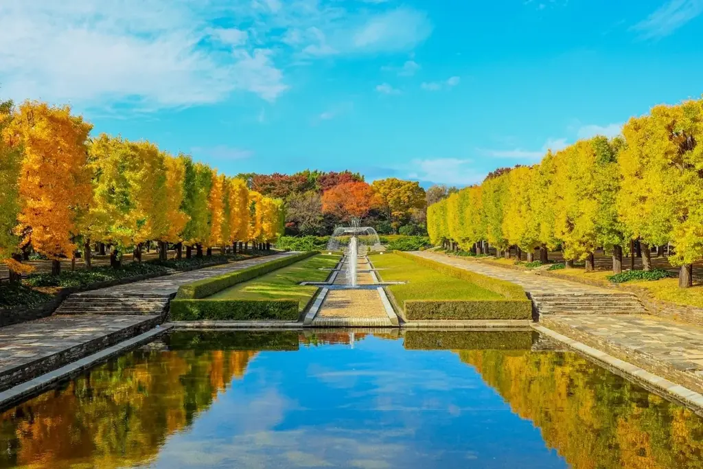 黄葉・紅葉まつり＆秋の夜散歩2026開催｜国営昭和記念公園 画像 2