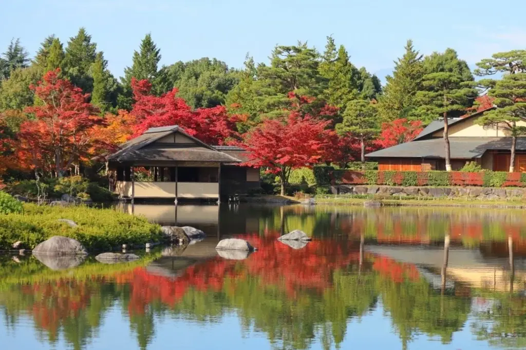 黄葉・紅葉まつり＆秋の夜散歩2026開催｜国営昭和記念公園 画像 4