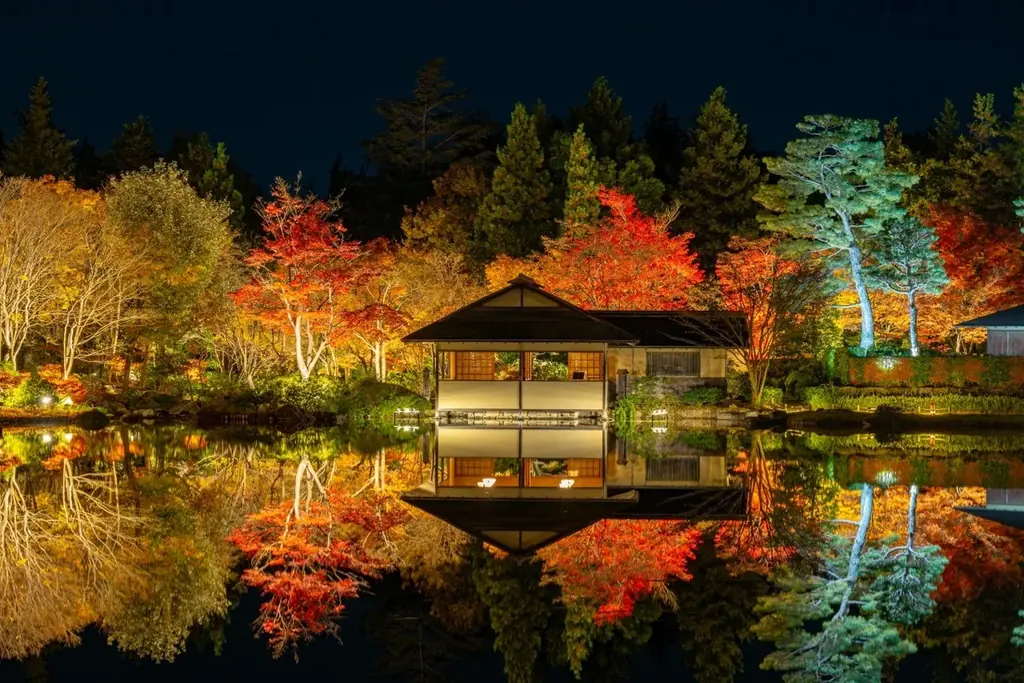 黄葉・紅葉まつり＆秋の夜散歩2026開催｜国営昭和記念公園 画像 7
