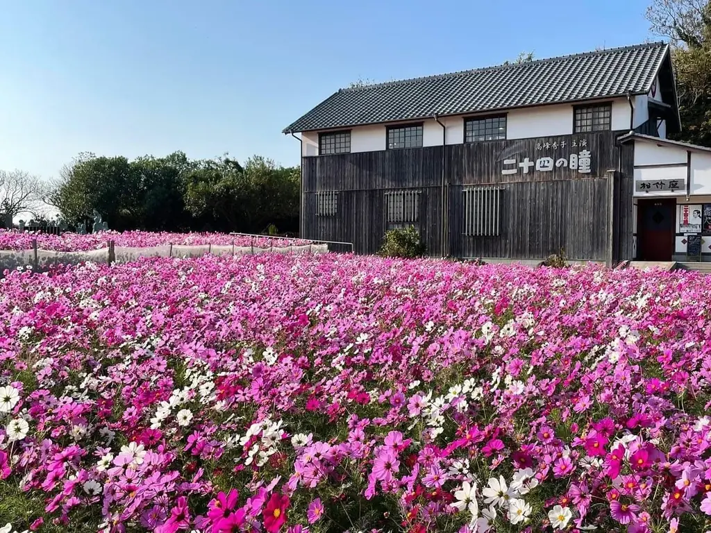 小豆島・二十四の瞳映画村で昭和映画と秋桜、10月開催の小豆戯画展