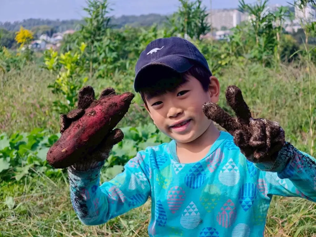 稲城市の里山でサツマイモ掘り　土に触れ実感する実りの秋　10月25日（日）31日（土）〔東京〕 画像 2