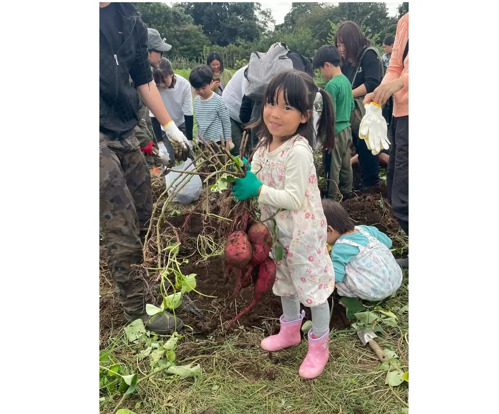 稲城市の里山でサツマイモ掘り　土に触れ実感する実りの秋　10月25日（日）31日（土）〔東京〕 画像 4