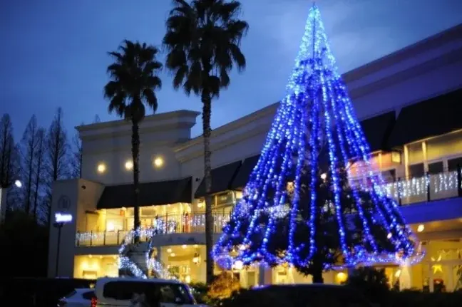 長良のクリスマスは、子どもが主役。“子どもたちは私たちの未来”を合言葉に。「長良ファミリークリスマスマーケット」今年も開催！！ 画像 3