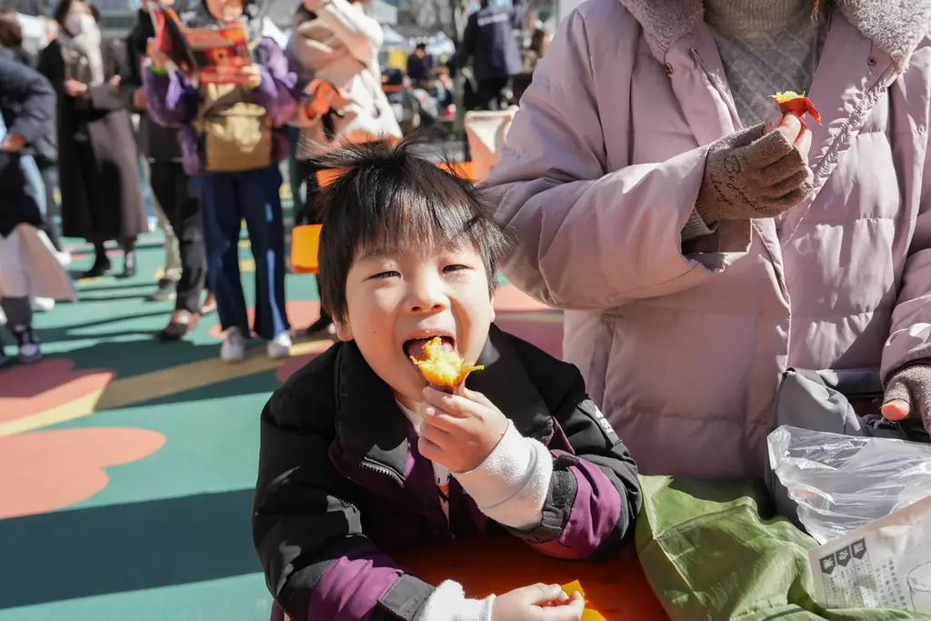 さつまいもの新たな活躍の場「毎日の食卓」へ　『目指せ食卓のスタメン野菜！さつまいも“毎日野菜”への道』取り組み開始 画像 3