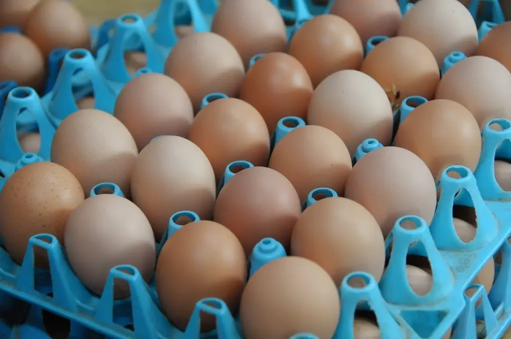 【茨城県｜水戸プラザホテル】秋の訪れを感じる、旬の食材を贅沢に使用したアフタヌーンティーセットが登場 画像 13