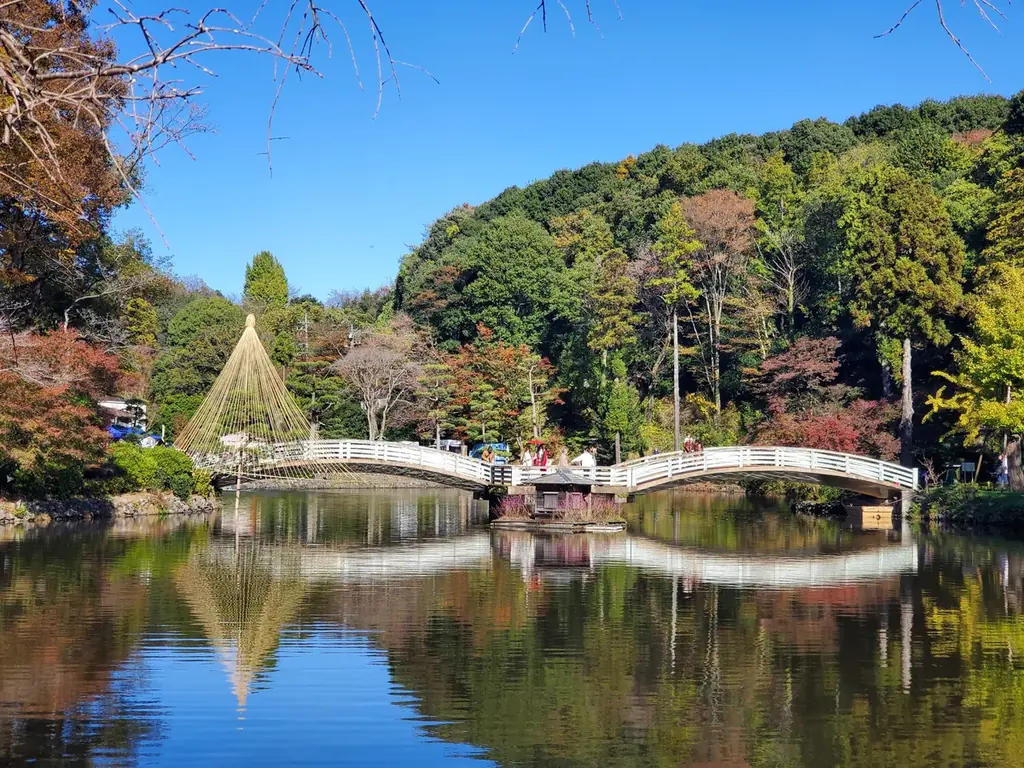 【東京都町田市】紅葉のライトアップと雲海が織りなす幻想風景。光に彩られる秋の薬師池公園へ。 画像 3