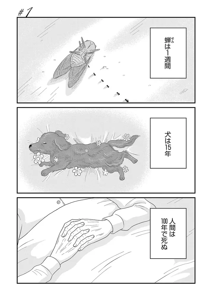 SNSで話題！一万年生きる悪魔の王と人間の恋人、胸が締め付けられる異族種の寿命差を描いた純愛物語『おやすみヒルダ』1巻発売！ 画像 2