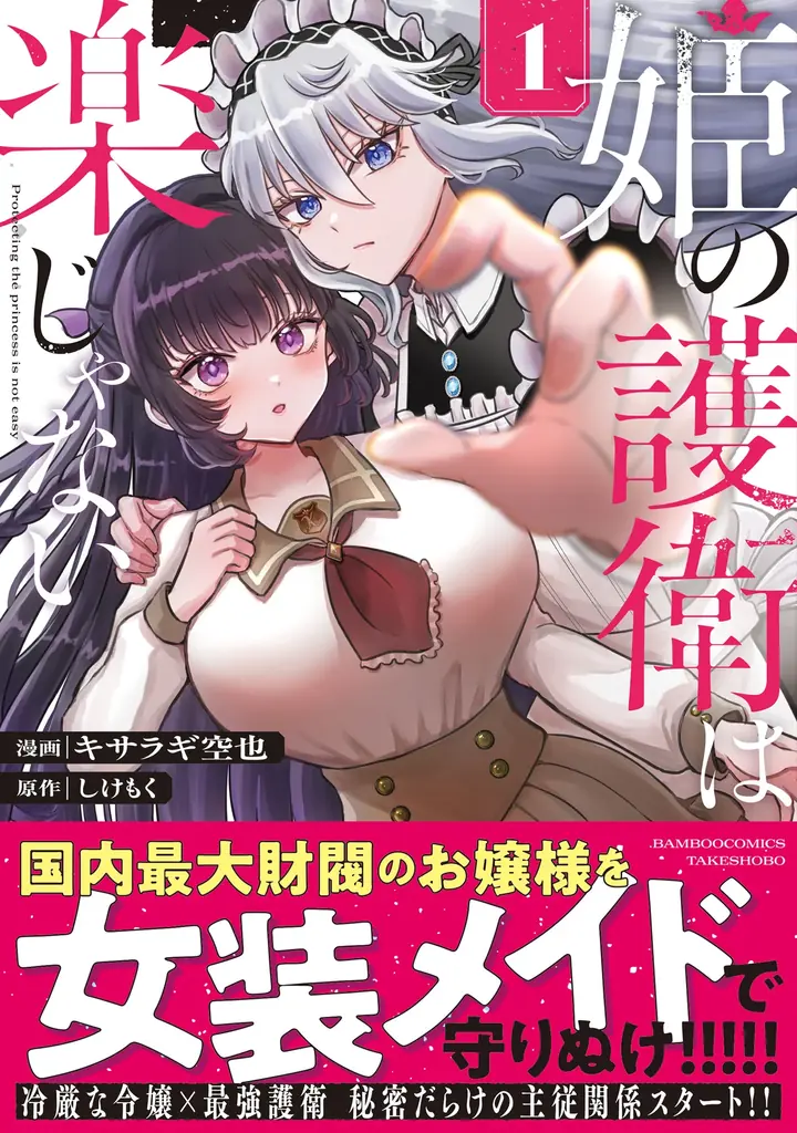 冷厳なお嬢様×最強の護衛 秘密だらけの主従ストーリー『姫の護衛は楽じゃない』1巻10月16日(金)発売!! 画像 1