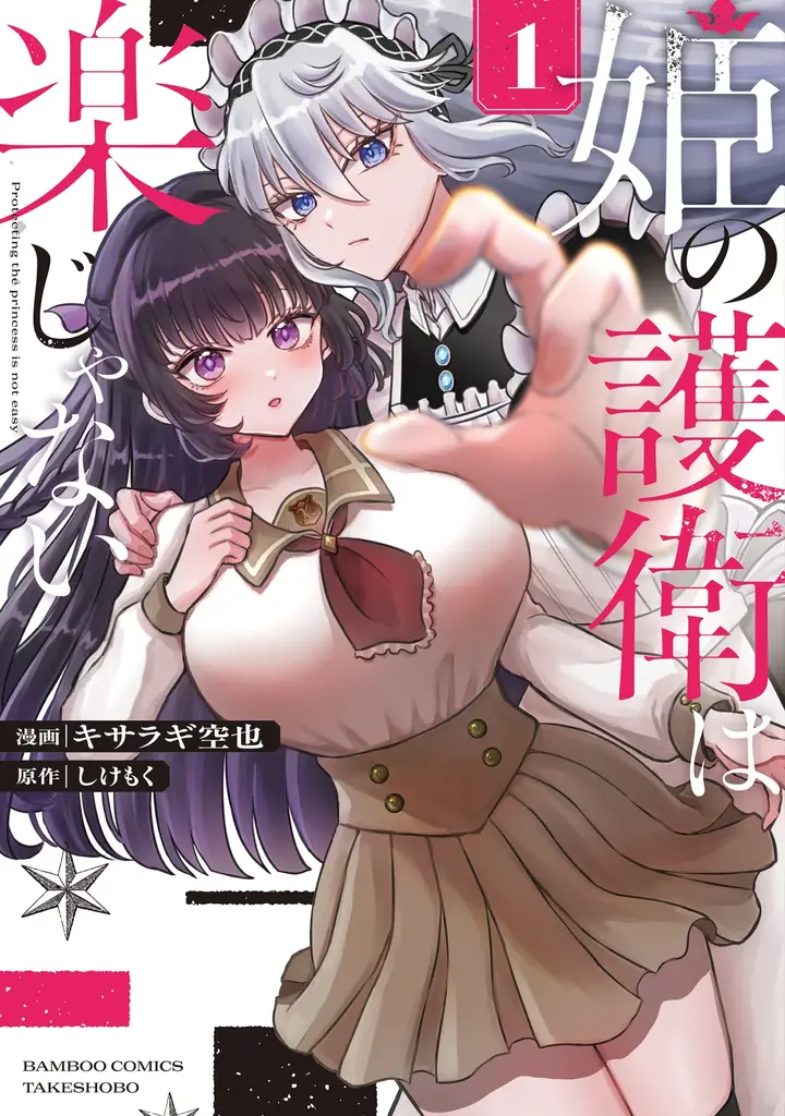 冷厳なお嬢様×最強の護衛 秘密だらけの主従ストーリー『姫の護衛は楽じゃない』1巻10月16日(金)発売!! 画像 2