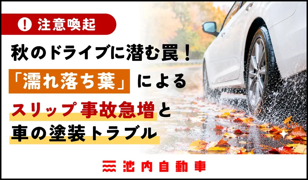 濡れ落ち葉でスリップ・塗装劣化？池内自動車が秋の注意点を解説