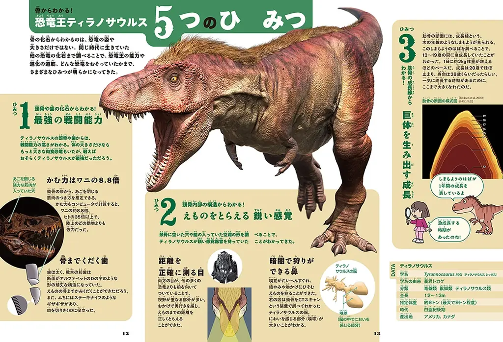 16年ぶりの『学研の学習』復刊に続き、新シリーズ『学研の科学と学習プレイ』誕生！　第一弾は『ティラノサウルス特大骨格模型』 画像 7