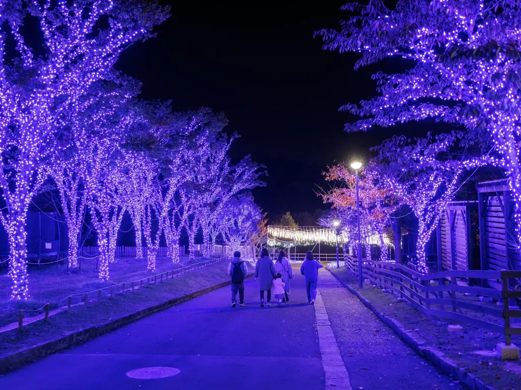 【イルミネーション】100万球を超える輝き“Wonder Night Hill 2026-2027” 【ハーベストの丘】 画像 16