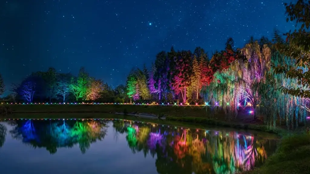【イルミネーション】100万球を超える輝き“Wonder Night Hill 2026-2027” 【ハーベストの丘】 画像 4