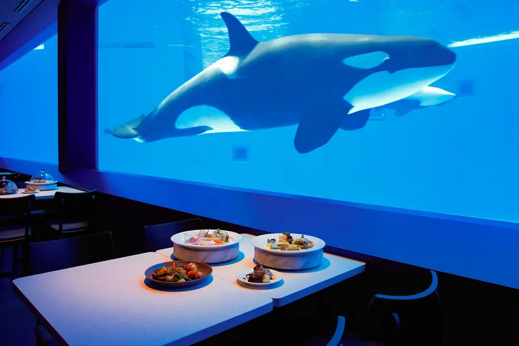 【神戸須磨シーワールド】水族館で過ごす特別な夜「スマシークリスマス2026」開催 画像 2