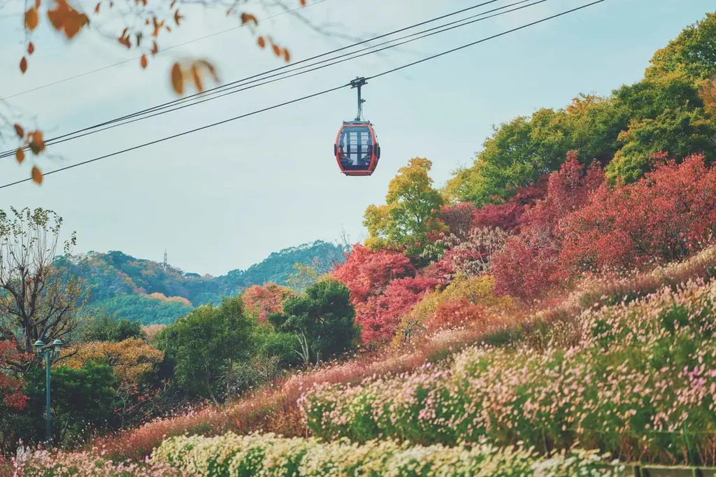 紅葉ライトアップ×クリスマスイルミネーションが共演！人気ライトアップスポット「光の回廊」が約220mにエリア拡大。神戸の紅葉の名所、神戸布引ハーブ園で「紅葉ライトアップ」を11/7（土）より大規模開催 画像 19