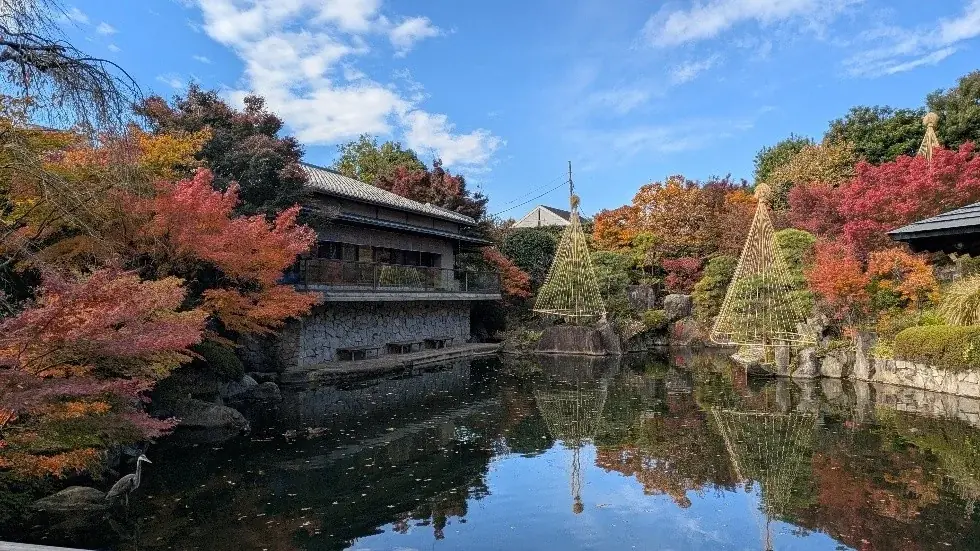 豊島区立目白庭園　秋の庭園ライトアップ『TERASU2026』 画像 2