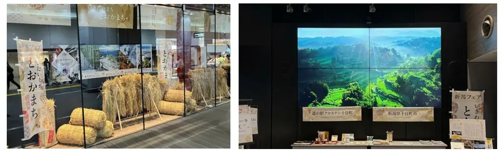 東京駅で新潟県十日町市を体感。「来て、見て、食べて」“棚田”を未来へとつなぐ“援農”の輪を広げよう。いきたいまち とおかまち～つなぐ棚田遺産～ 画像 14